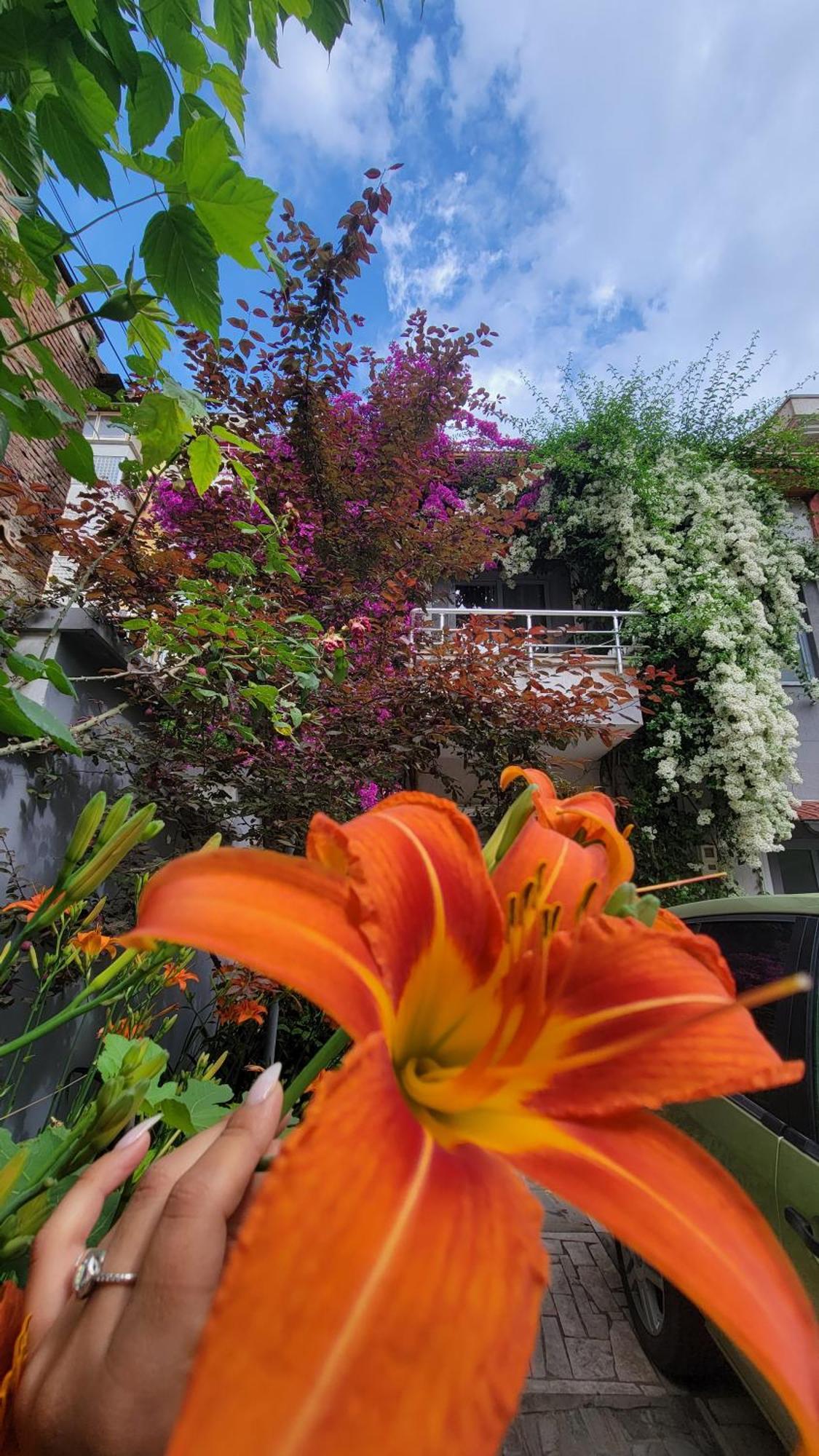 A Cheerful Villa With Free Parking Space Tiranë Phòng bức ảnh
